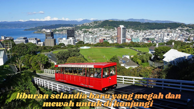 liburan selandia